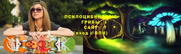 спайс Няндома