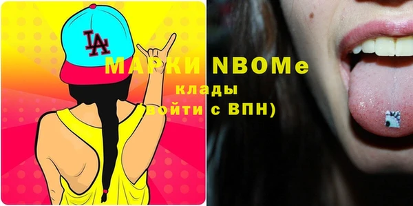 спайс Няндома