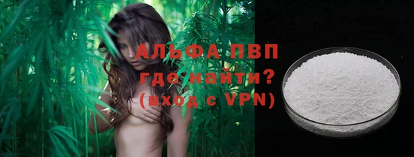 спайс Няндома