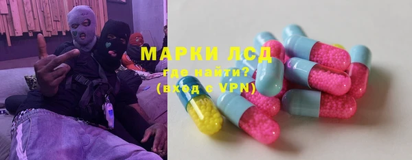 ПСИЛОЦИБИНОВЫЕ ГРИБЫ Осинники
