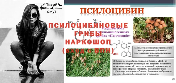 гашик Нягань