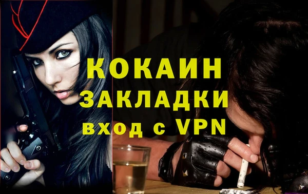 спайс Няндома