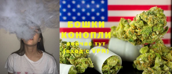 спайс Няндома