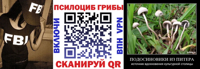 Галлюциногенные грибы прущие грибы  купить наркотики цена  Ладушкин 