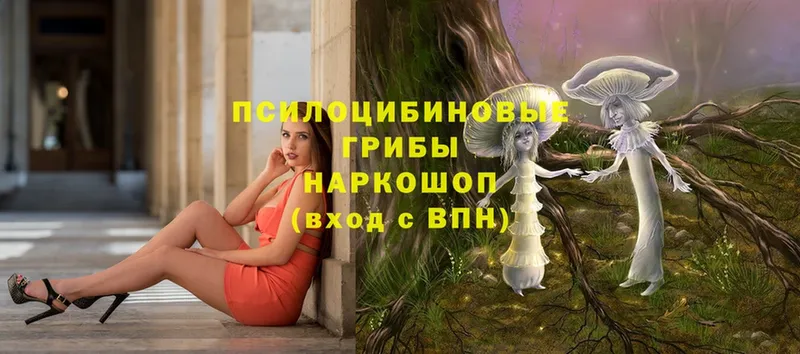 MEGA ссылки  Ладушкин  Псилоцибиновые грибы Magic Shrooms 