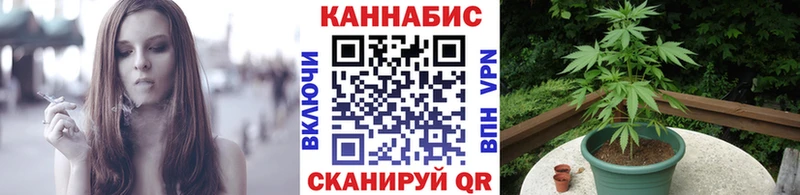 маркетплейс официальный сайт что такое Ладушкин Каннабис семена